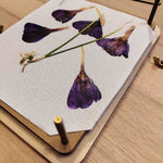 Pressa per i fiori ed erbe aromatiche - Copertina Fiori Dipinti a Mano